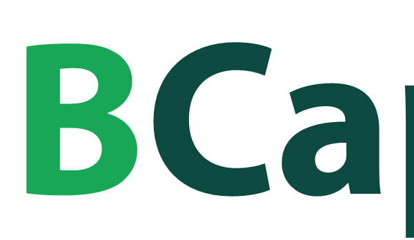 BLANKA 2025 HB CAPITAL TASDIQ LOGO